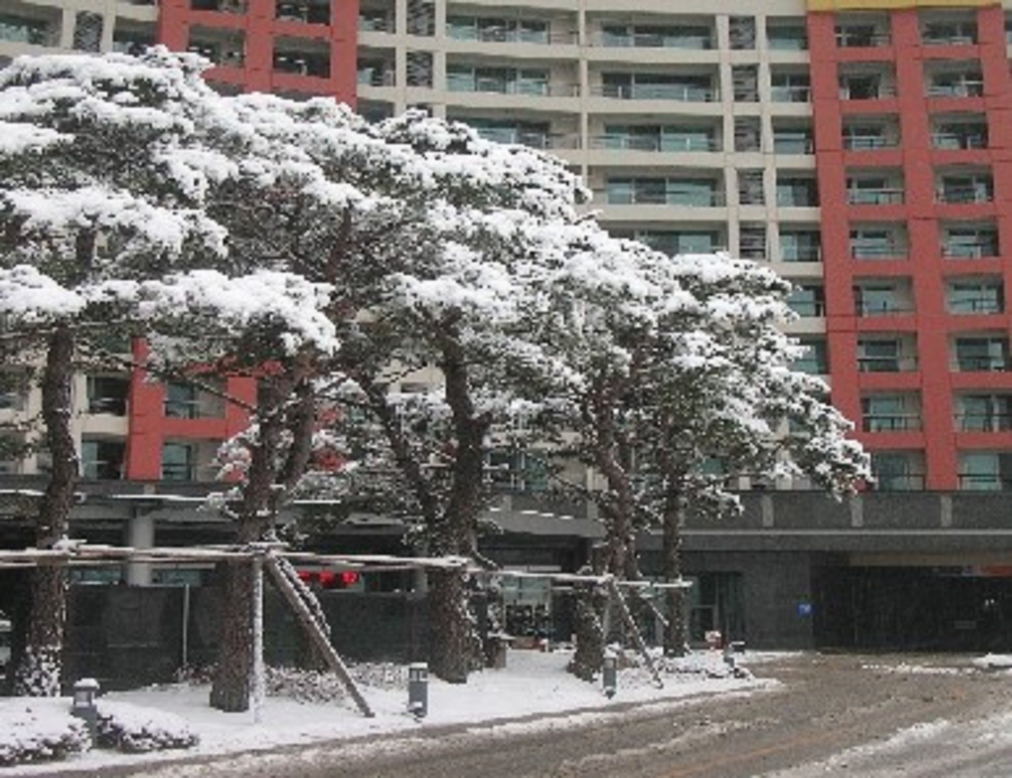 메이힐스리조트 정선 외부 사진