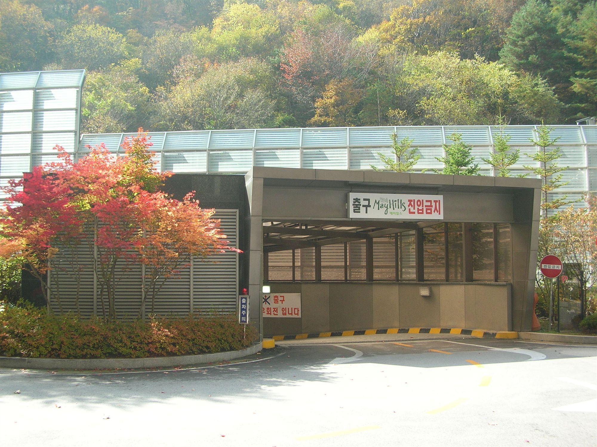 메이힐스리조트 정선 외부 사진
